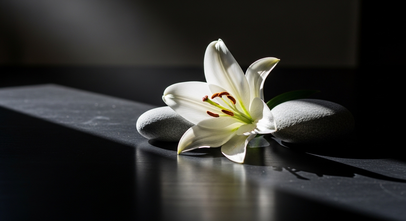 Hoa huệ trắng tinh khôi và hai viên đá xám trên nền tối, với ánh sáng kịch tính tạo bóng tương phản sâu. Một bức ảnh tĩnh vật chân thực, hoàn hảo để khám phá cách chuyển ảnh thành video bằng AI trên Canva và tạo nội dung động đầy ấn tượng.